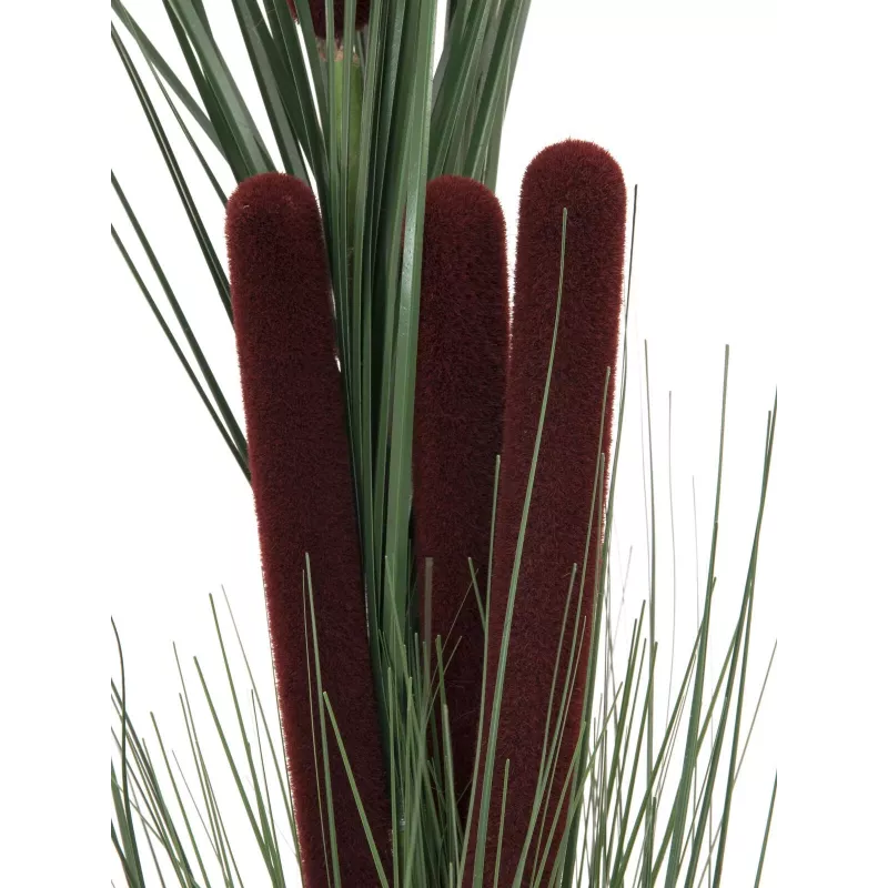 EUROPALMS Dirbtinė nendrių žolė su šiurkščiaisiais vikšriais, tamsiai žalia, 152 cm 82505854