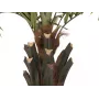 EUROPALMS Kentia Palm Deluxe dirbtinis augalas 300 cm 82511370