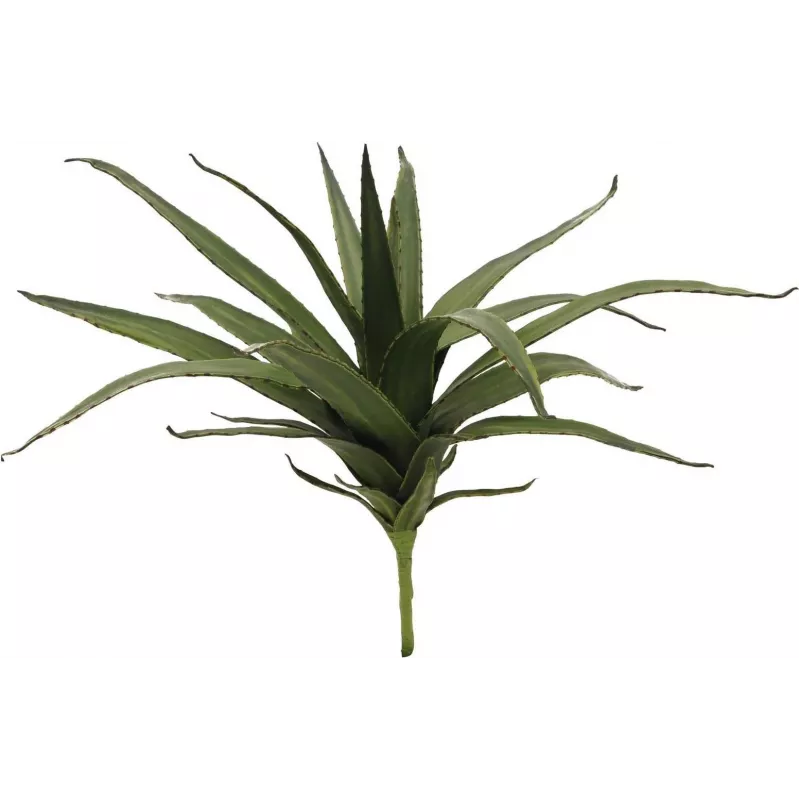 EUROPALMS Aloe (EVA), dirbtinis, žalias, 50cm (82530570)