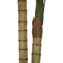 EUROPALMS Areca palmė, 2 kamienų, dirbtinis augalas, 120 cm (82509410)