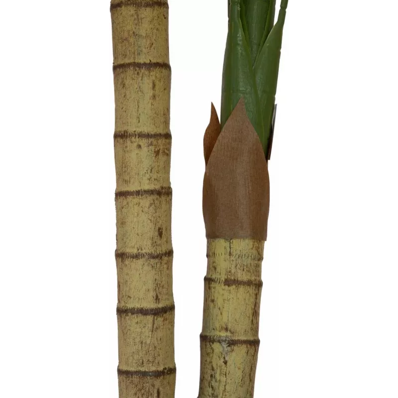 EUROPALMS Areca palmė, 2 kamienų, dirbtinis augalas, 120 cm (82509410)