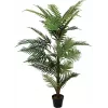 EUROPALMS Areca Palm dirbtinis augalas, 150cm 82509414