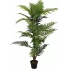 EUROPALMS Areca Palm dirbtinis augalas, 150cm 82509414