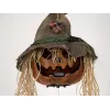EUROPALMS Halloween prakeikto moliūgo galva, 70cm (83316171)