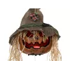 EUROPALMS Halloween prakeikto moliūgo galva, 70cm (83316171)