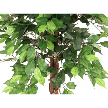 EUROPALMS Ficus Benjamina daugiavainikis dirbtinis augalas, 150cm 82506125