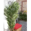 EUROPALMS daugiastiebis dirbtinis bambukas, 180 cm 82509236