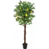 EUROPALMS dirbtinis citrinmedis, 150 cm 82507815