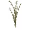 EUROPALMS Dirbtinė rozmarino šakelė (EVA), žalia 82531064
