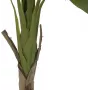 EUROPALMS dirbtinis bananų medis, 145cm 82509504