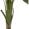 EUROPALMS dirbtinis bananų medis, 145cm 82509504