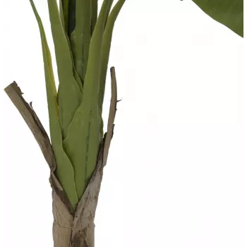 EUROPALMS dirbtinis bananų medis, 145cm 82509504