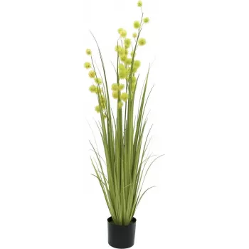 EUROPALMS Pompom Grass dirbtinis augalas, 122 cm, žalias 82500136