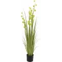 EUROPALMS Pompom Grass dirbtinis augalas, 122 cm, žalias 82500136