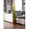 EUROPALMS Pompom Grass dirbtinis augalas, 122 cm, žalias 82500136