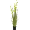 EUROPALMS Pompom Grass dirbtinis augalas, 122 cm, žalias 82500136