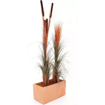 EUROPALMS Dirbtinė nendrinė žolė, šviesiai ruda, 127 cm 82505852