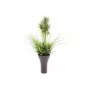 EUROPALMS Dirbtinės žolės kompozicija, 90 cm, žalia, juodame vazone 82600137