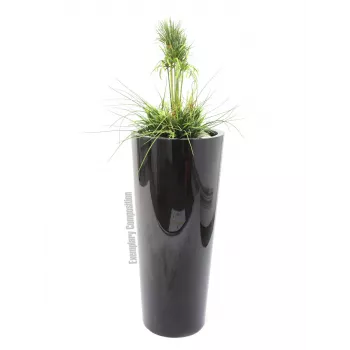 EUROPALMS Dirbtinės žolės kompozicija, 90 cm, žalia, juodame vazone 82600137