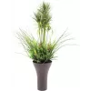 EUROPALMS Dirbtinės žolės kompozicija, 90 cm, žalia, juodame vazone 82600137