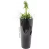 EUROPALMS Dirbtinės žolės kompozicija, 90 cm, žalia, juodame vazone 82600137