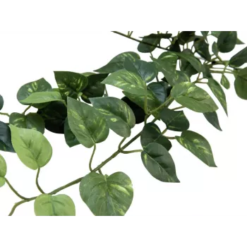 EUROPALMS Pothos Bush Fence Classic, dirbtinis, 70cm (82502201)