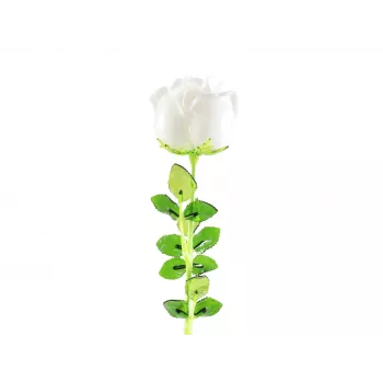 EUROPALMS Crystal Rose dirbtinė gėlė, balta, 81 cm, 12 vnt. 82600208