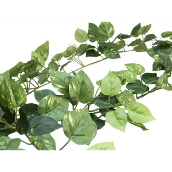 EUROPALMS Pothos Garland Classic, dirbtinė, 180cm 82503728