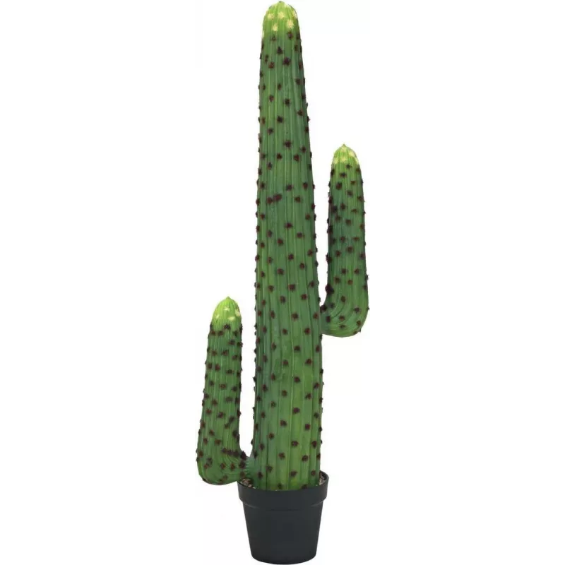 EUROPALMS Mexican Cactus dirbtinis augalas, žalias, 117cm 82801071