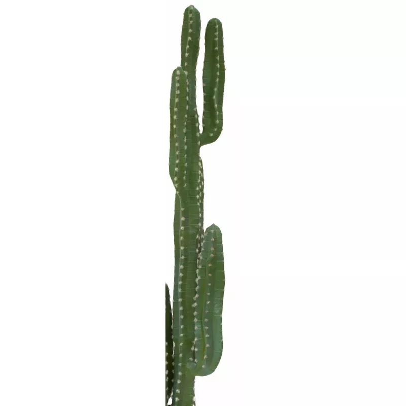 EUROPALMS Mexican Cactus dirbtinis augalas, žalias, 123cm 82801072