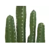 EUROPALMS Mexican Cactus dirbtinis augalas, žalias, 123cm 82801072
