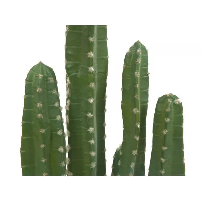 EUROPALMS Mexican Cactus dirbtinis augalas, žalias, 123cm 82801072