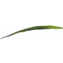 EUROPALMS dirbtinis alijošiaus lapas (EVA), žalias, 60cm 82530581