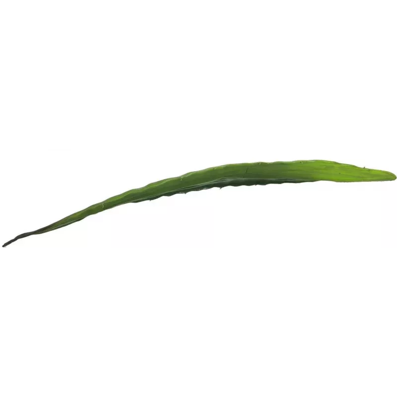 EUROPALMS dirbtinis alijošiaus lapas (EVA), žalias, 60cm 82530581
