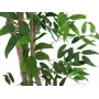 EUROPALMS Ficus Longifolia dirbtinis augalas, 165 cm 82506350