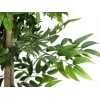 EUROPALMS Ficus Longifolia dirbtinis augalas, 165 cm 82506350