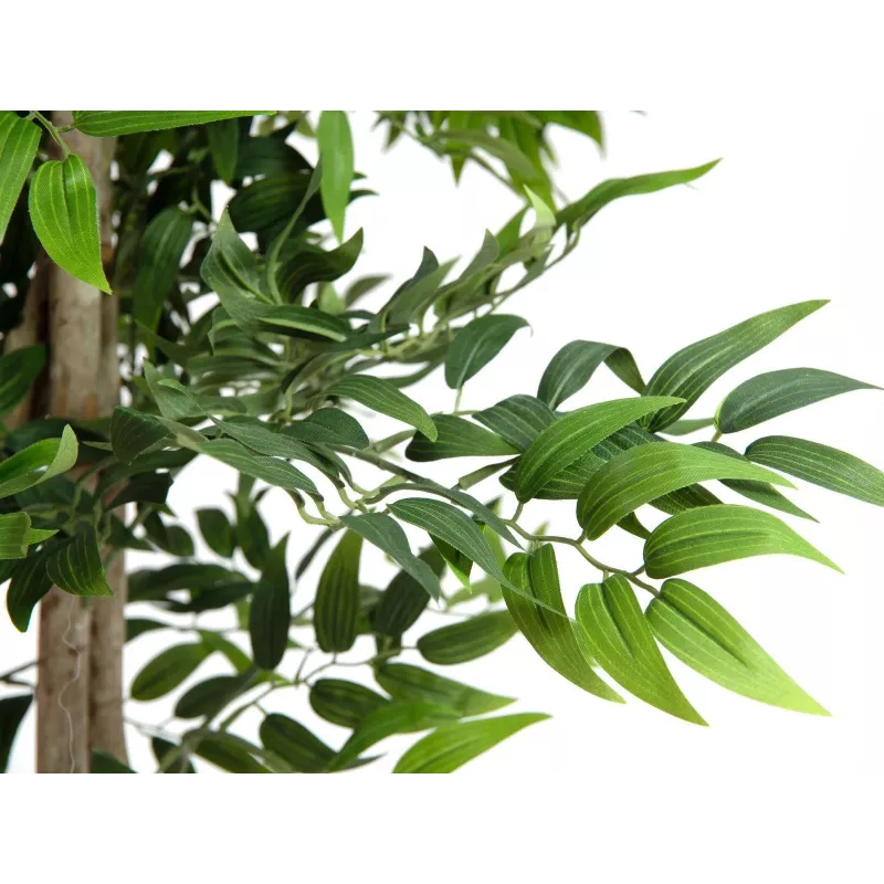 EUROPALMS Ficus Longifolia dirbtinis augalas, 165 cm 82506350