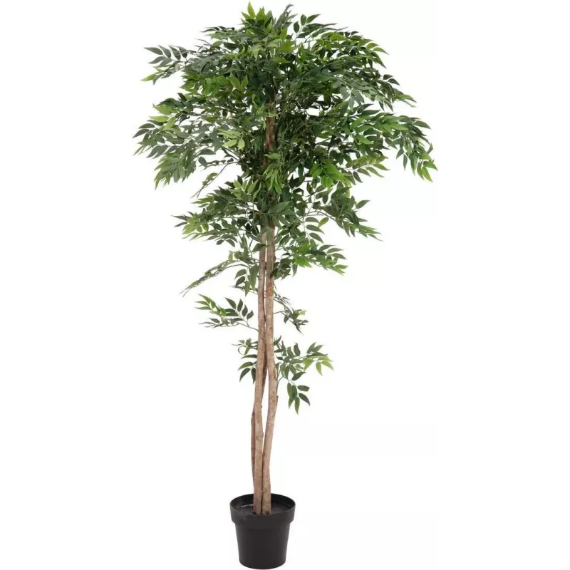 EUROPALMS Ficus Longifolia dirbtinis augalas, 165 cm 82506350