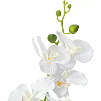 EUROPALMS Orchid dirbtinis augalas, baltas, 80cm (82530362)