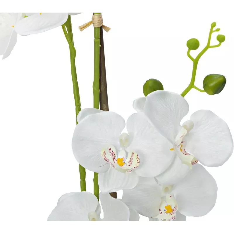 EUROPALMS Orchid dirbtinis augalas, baltas, 80cm (82530362)