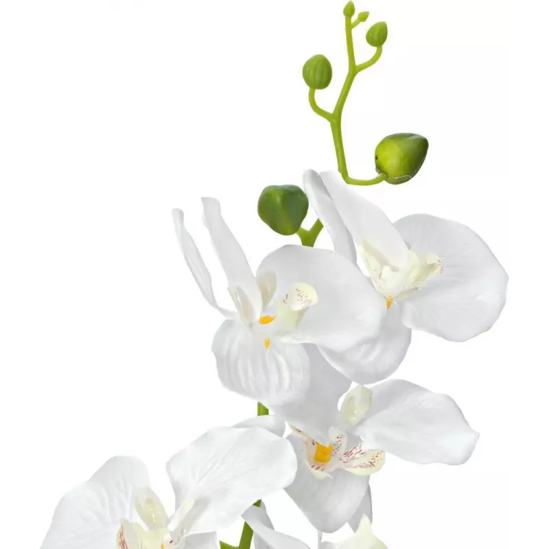 EUROPALMS Orchid dirbtinis augalas, baltas, 80cm (82530362)