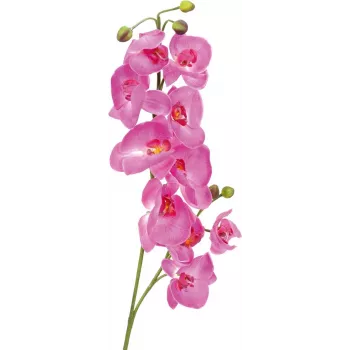 EUROPALMS dirbtinė orchidėjos šakelė, purpurinė, 100 cm 82530322