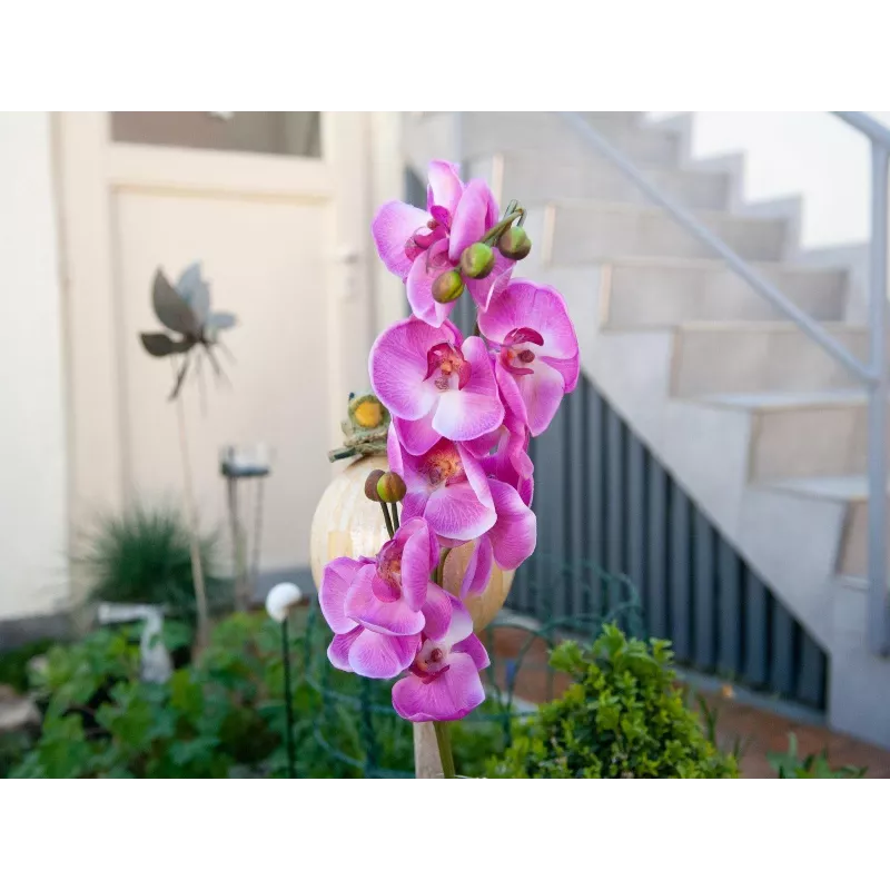 EUROPALMS dirbtinė orchidėjos šakelė, purpurinė, 100 cm 82530322