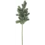 EUROPALMS Snowy Fir Branch, PE, 65cm (83500421)