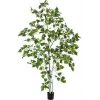 EUROPALMS Dirbtinis beržo medis 180 cm 82505231