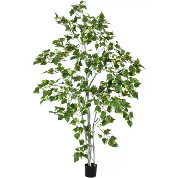 EUROPALMS Dirbtinis beržo medis 180 cm 82505231