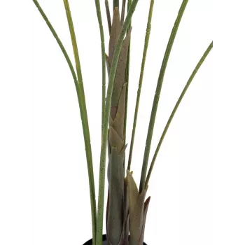EUROPALMS Großblatt-Areca dirbtinė Areca palmė, 185 cm (82509442)