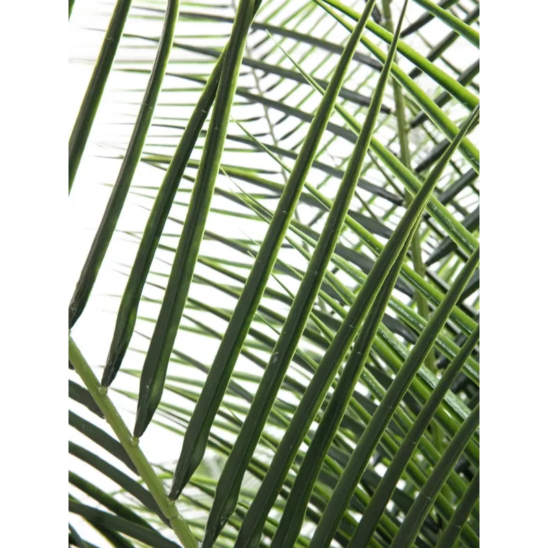 EUROPALMS Phoenix Palm Deluxe dirbtinis augalas 220cm 82509722
