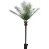 EUROPALMS Phoenix Palm Deluxe dirbtinis augalas 220cm 82509722