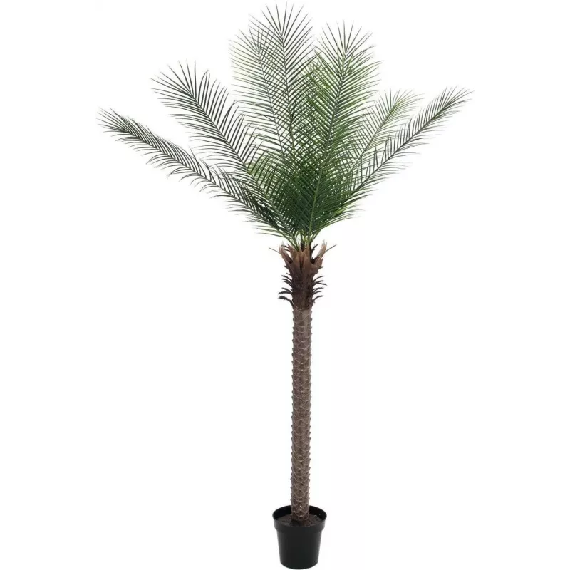 EUROPALMS Phoenix Palm Deluxe dirbtinis augalas 220cm 82509722